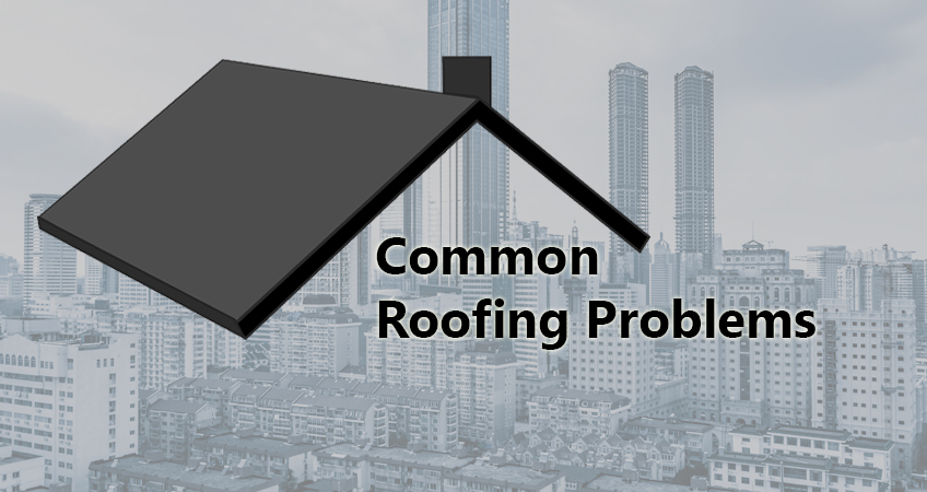 8 Common Roofing Problems | Infographic